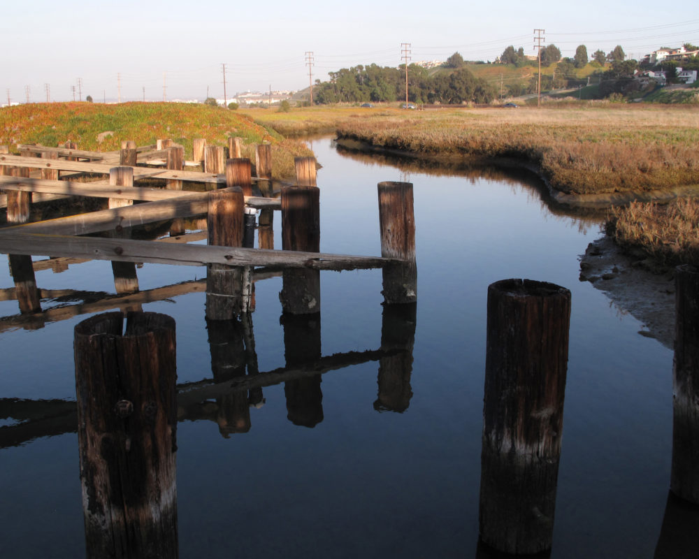 Ballona Wetlands near Offices at the Beach