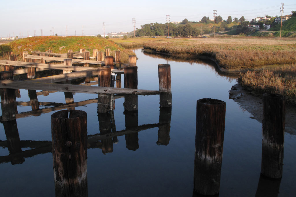 Ballona Wetlands near Offices at the Beach